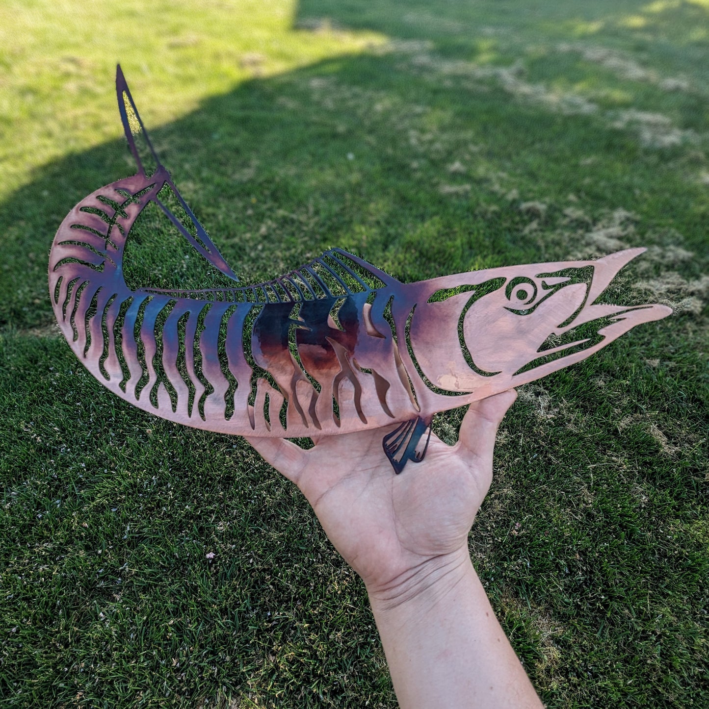 Barracuda