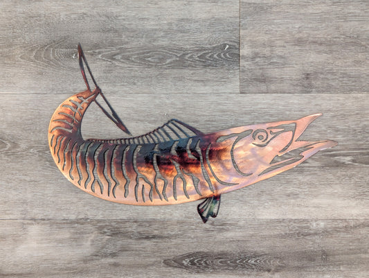 Barracuda
